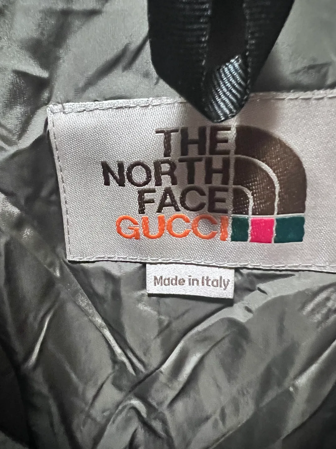 The North Face x Gucci Down Jacket image indicator(5)