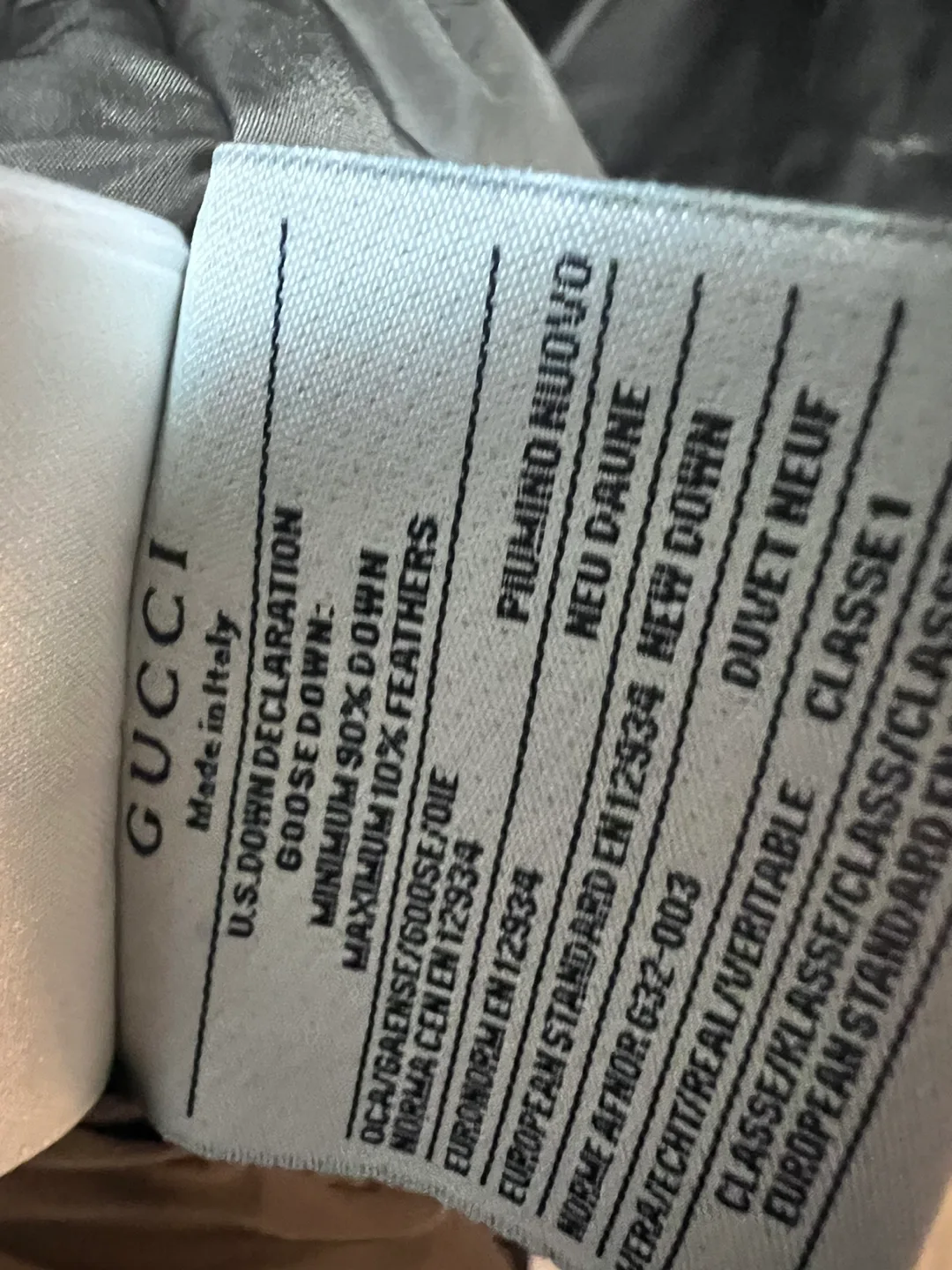 The North Face x Gucci Down Jacket image indicator(8)