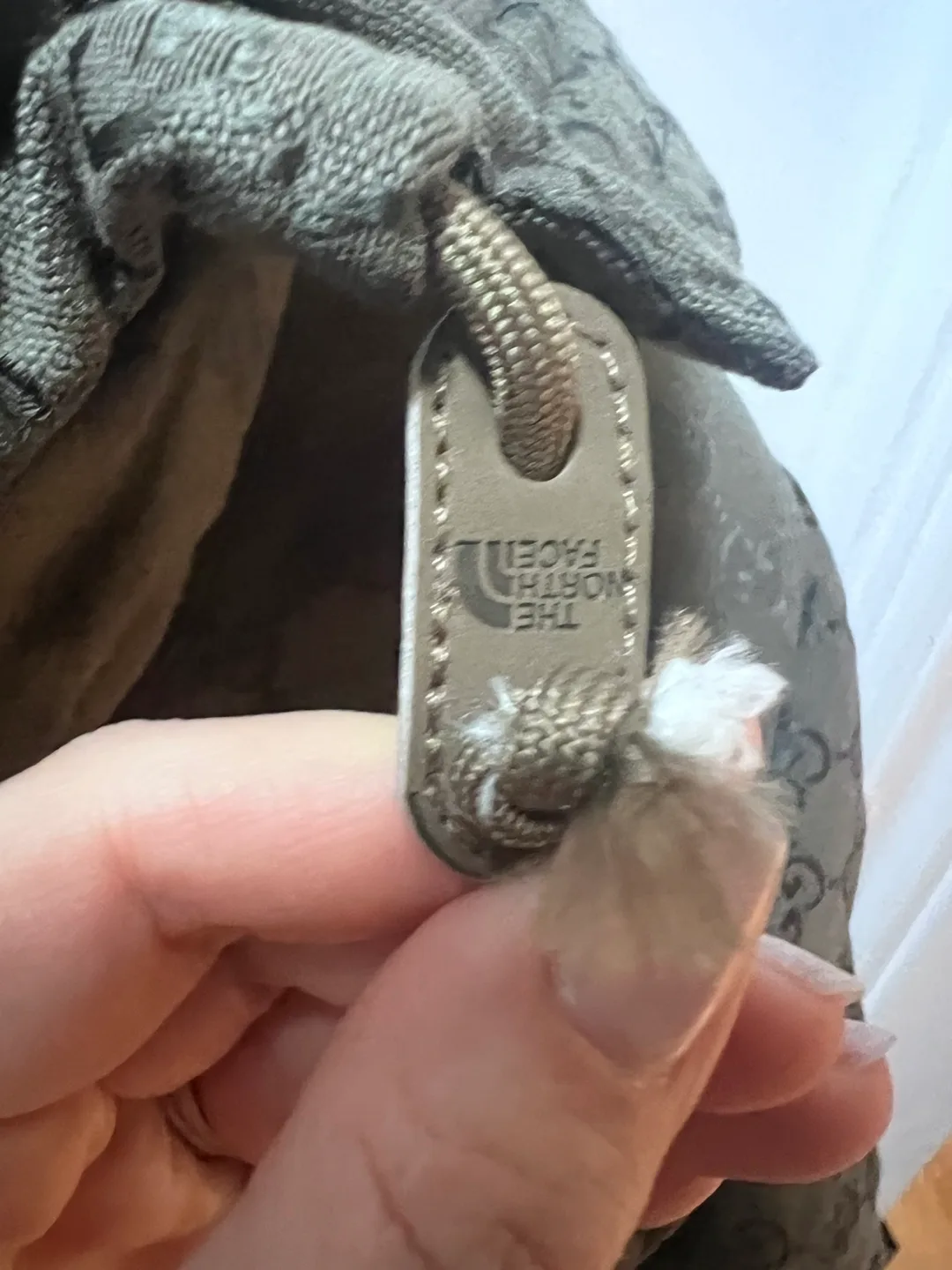 The North Face x Gucci Down Jacket image indicator(10)