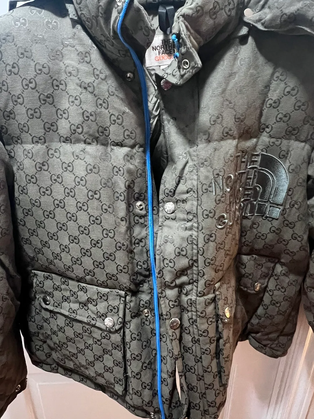 The North Face x Gucci Down Jacket image indicator(9)