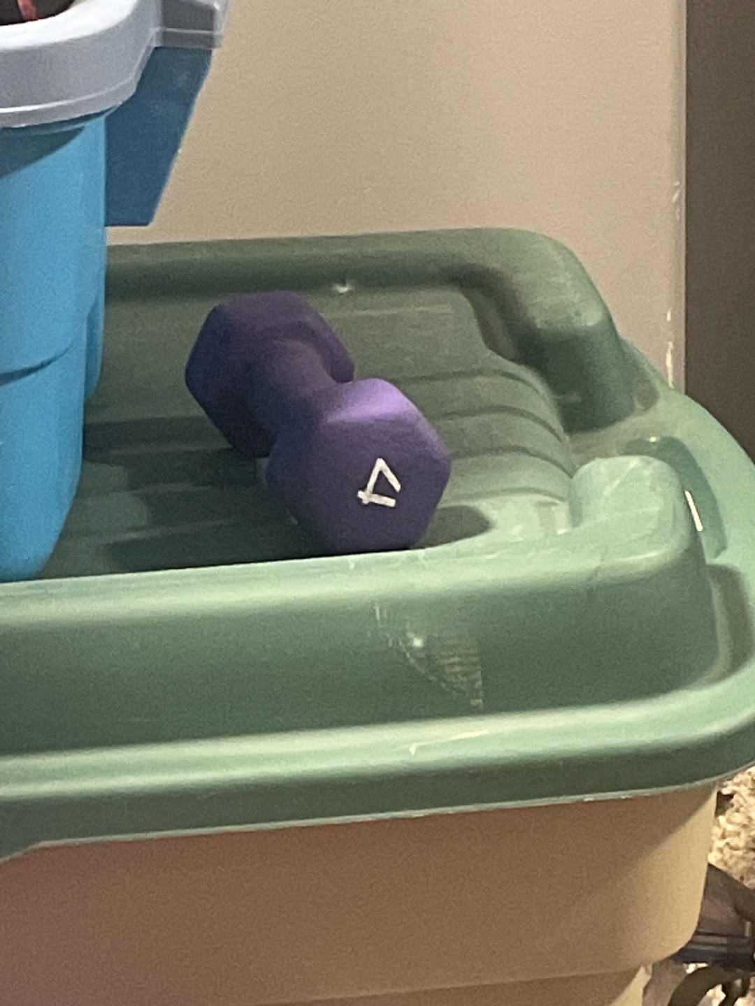 Purple 4 lb Hex Dumbbell #freecycle