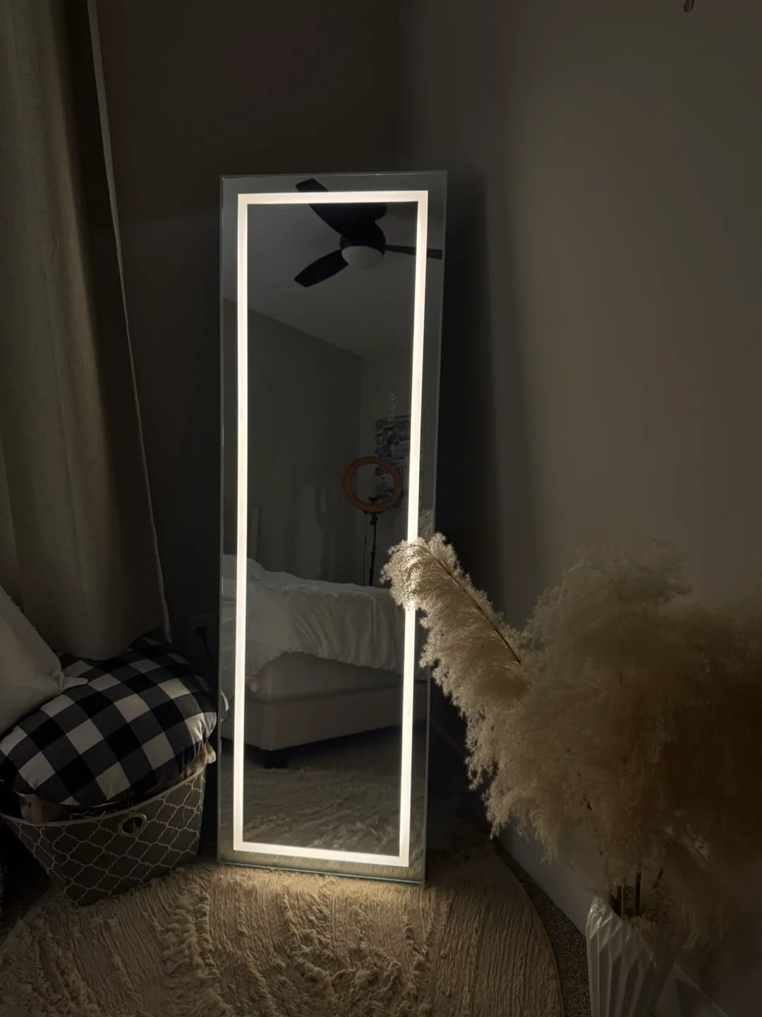 Mirror with light image indicator(3)