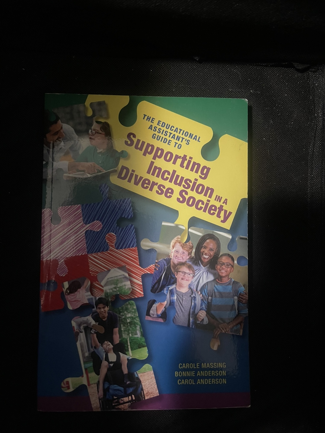 Supporting Inclusion in a Diverse Society Textbook