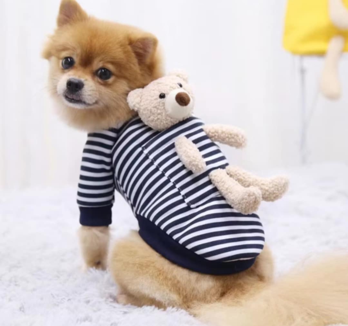 Dog Clothes for SMALL BREED - photo 5