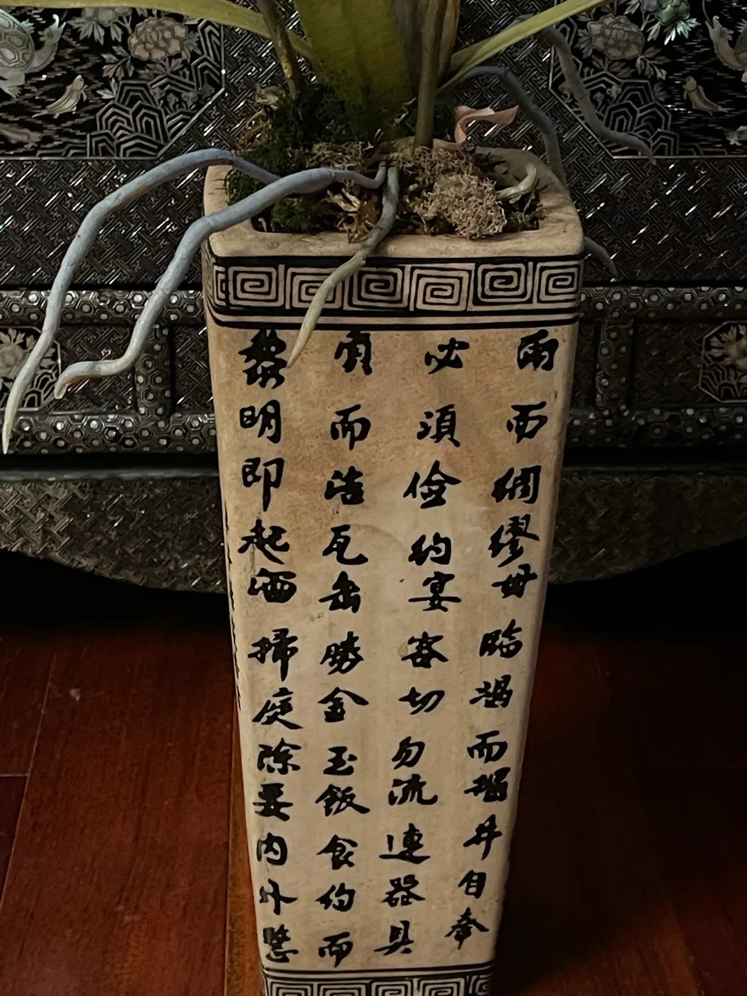 Artificial Orchid Arrangement in Decorative Pot image indicator(4)