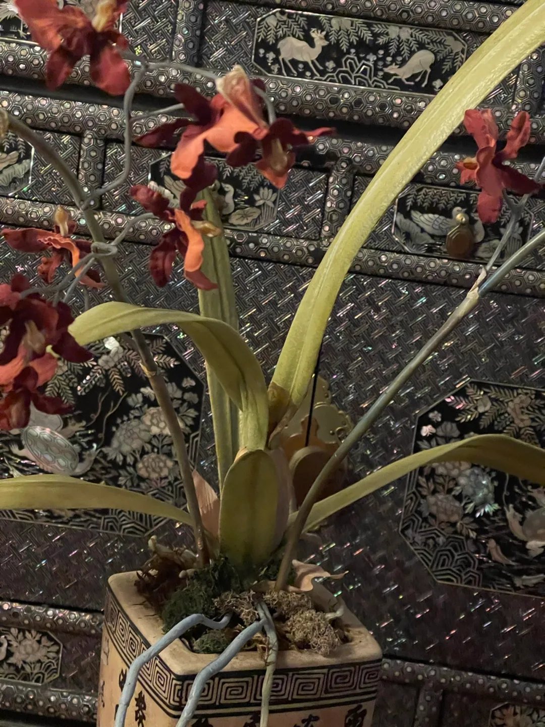 Artificial Orchid Arrangement in Decorative Pot image indicator(7)