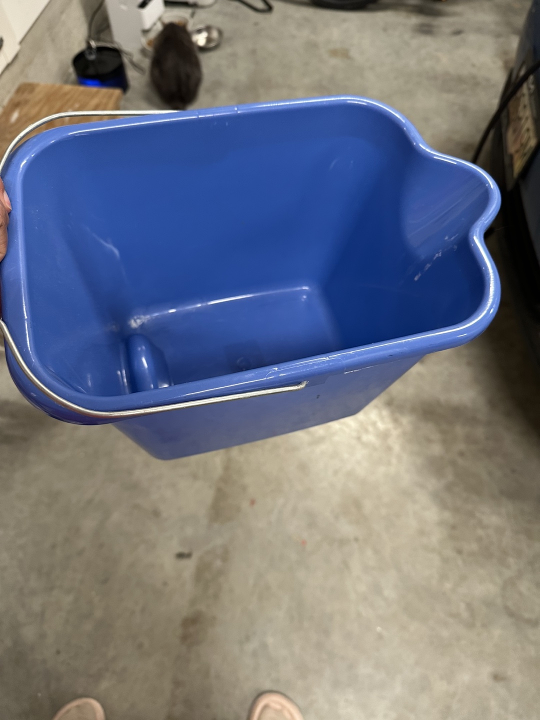 Blue Plastic Bucket with Handle #freecycle