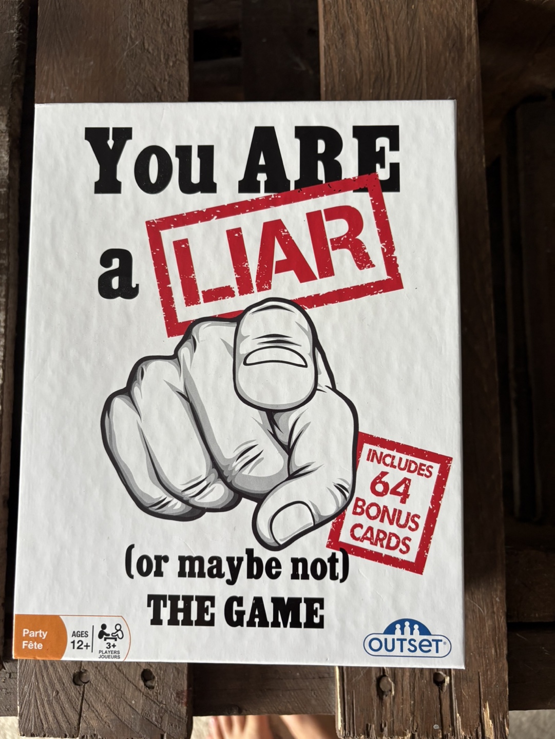 You Are a Liar Party Game