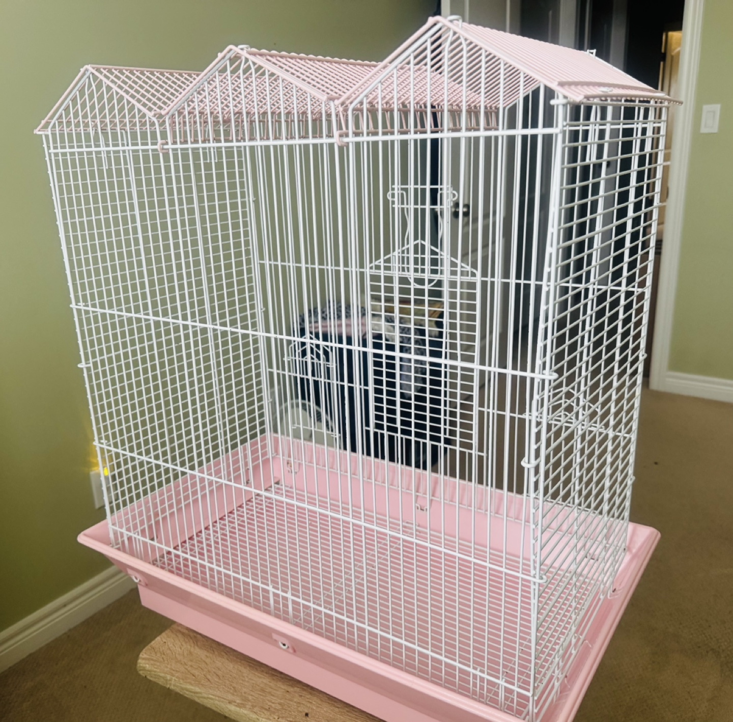 Pink Bird Cage