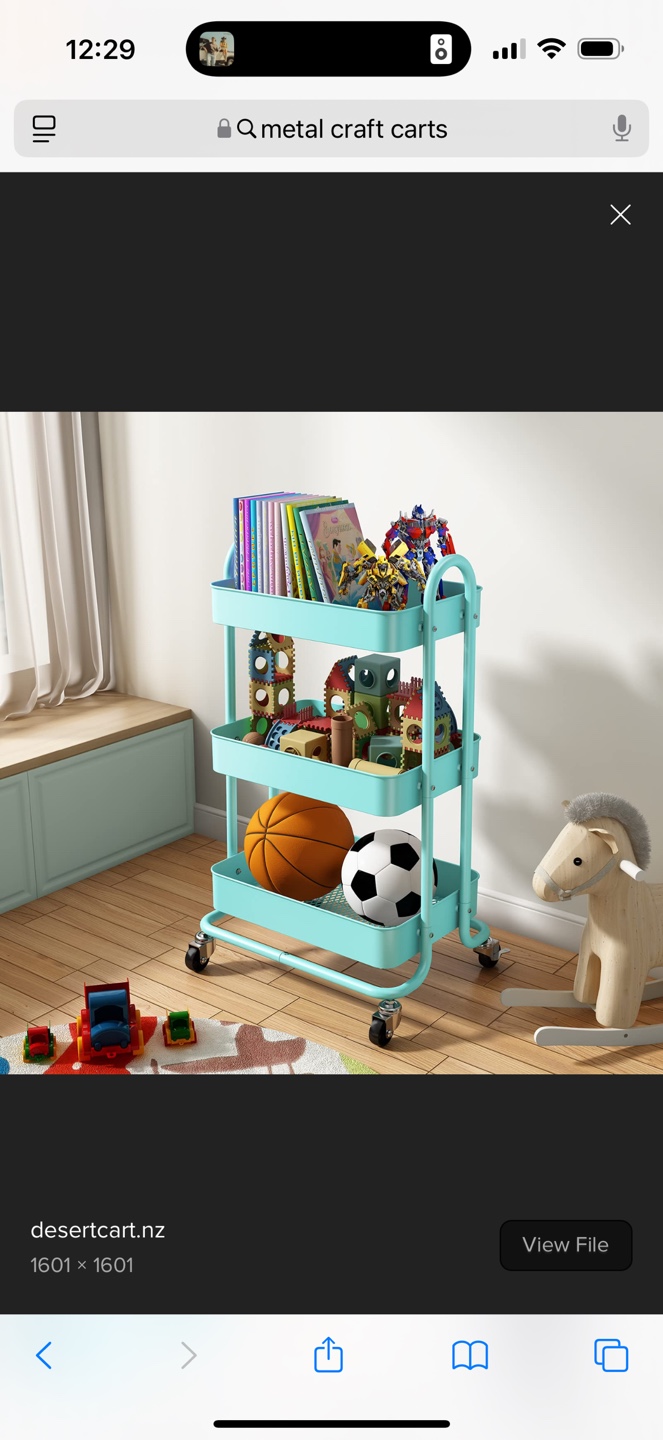 Craft cart
