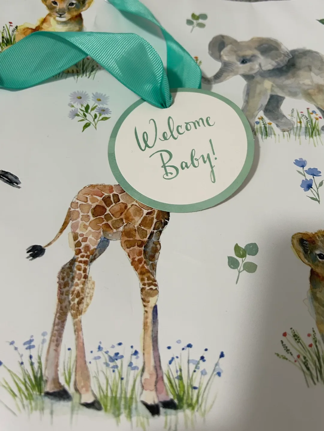 Welcome Baby Gift Bag #freecycle image indicator(2)