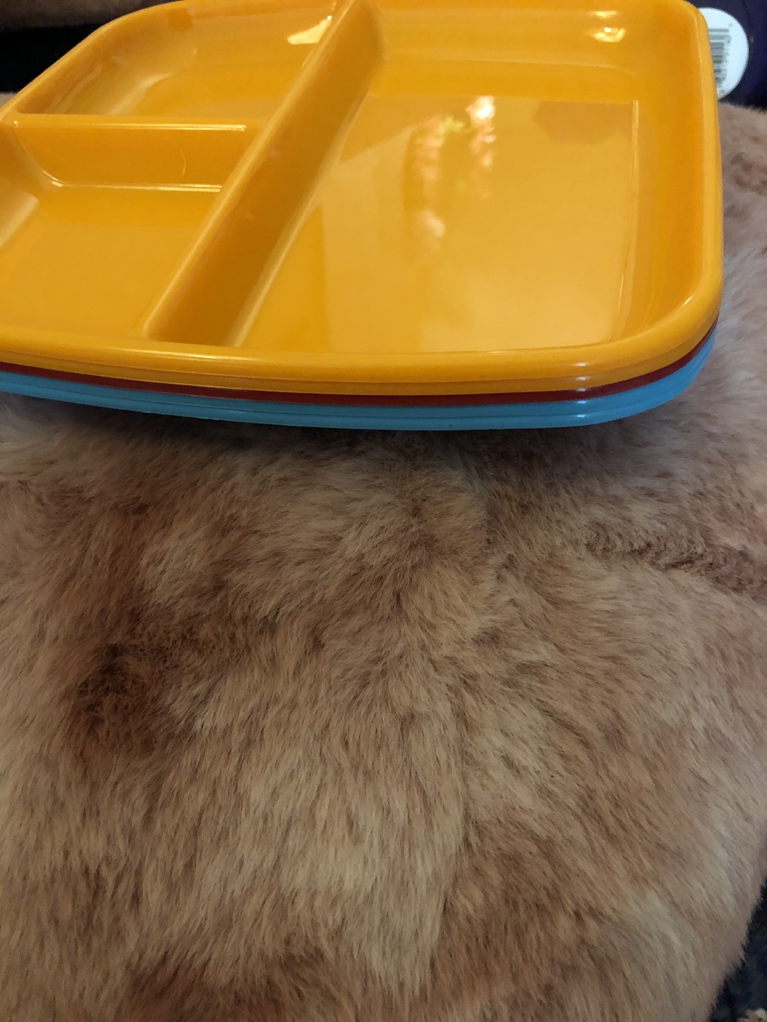 Set of 5 Divided Dinner Plates - Orange, Red & Blue - #freecycle - photo 3