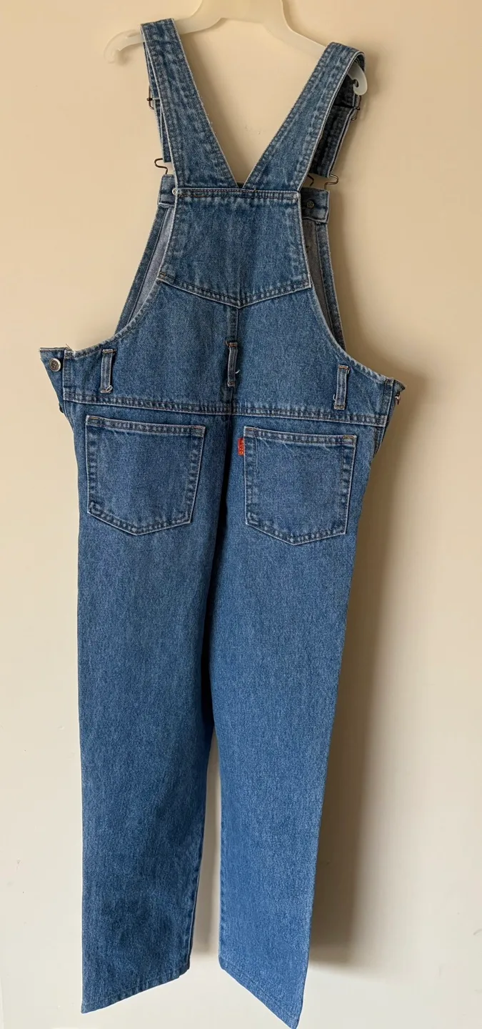 Denim Overalls image indicator(2)