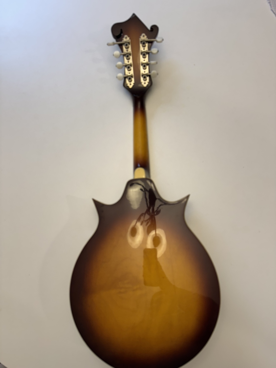 Mandolin AriaAM 300 BS - photo 2
