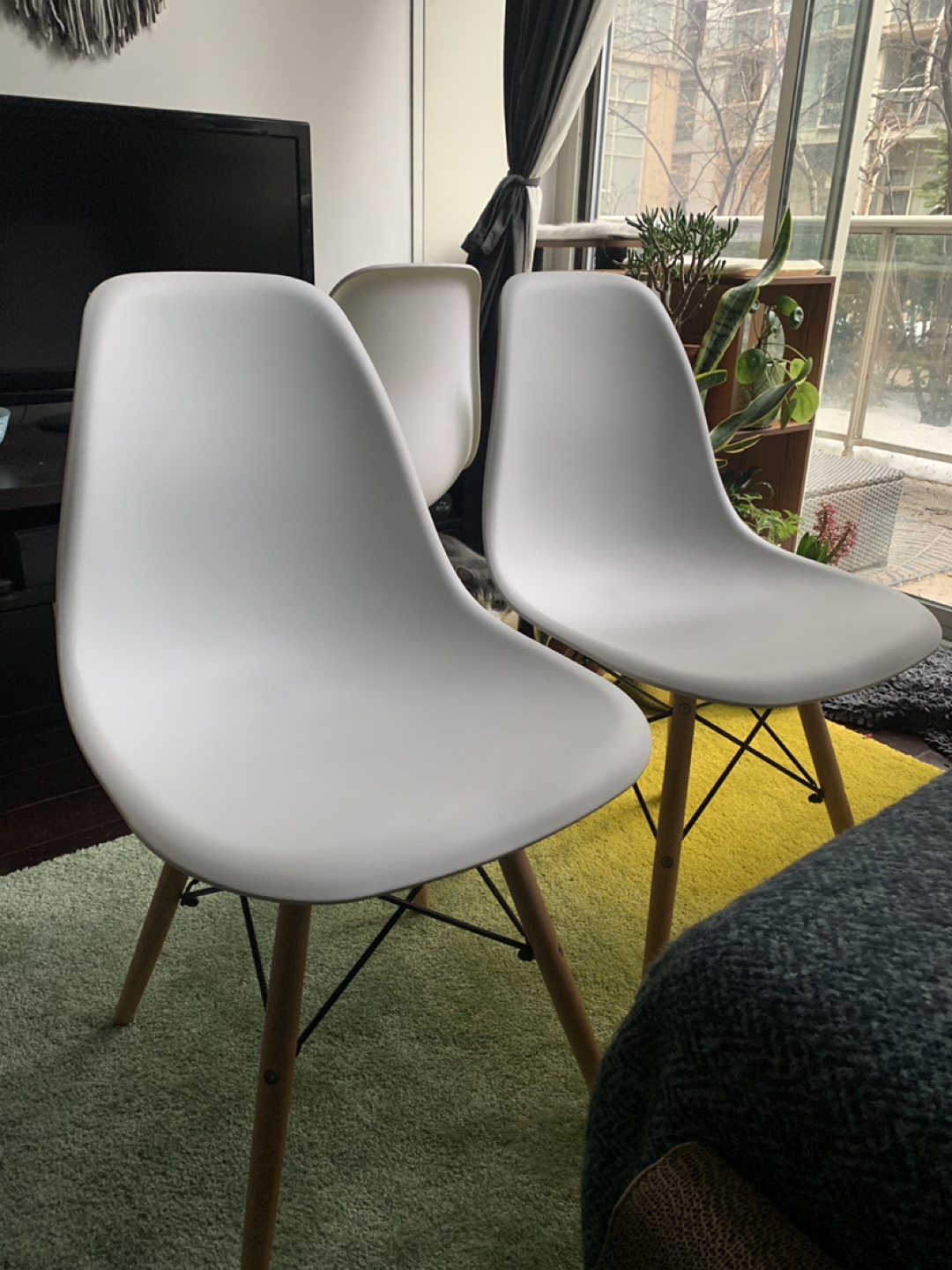 Pair of White Plastic Dining Chairs with Wooden Legs