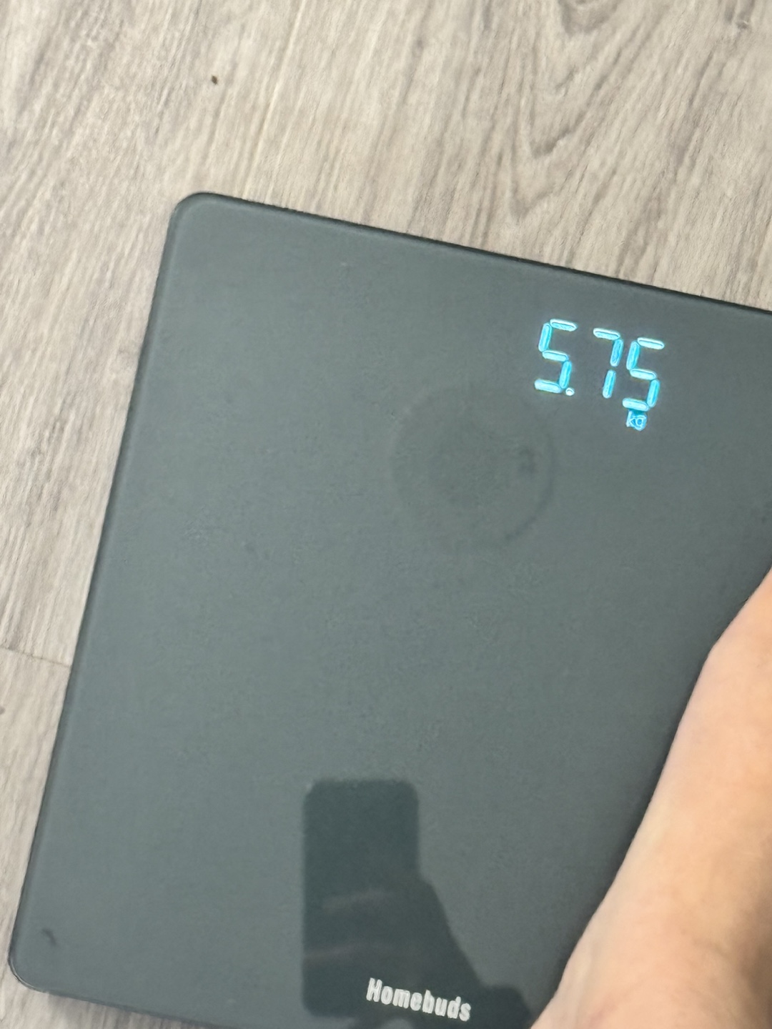 Digital Bathroom Scale - photo 2