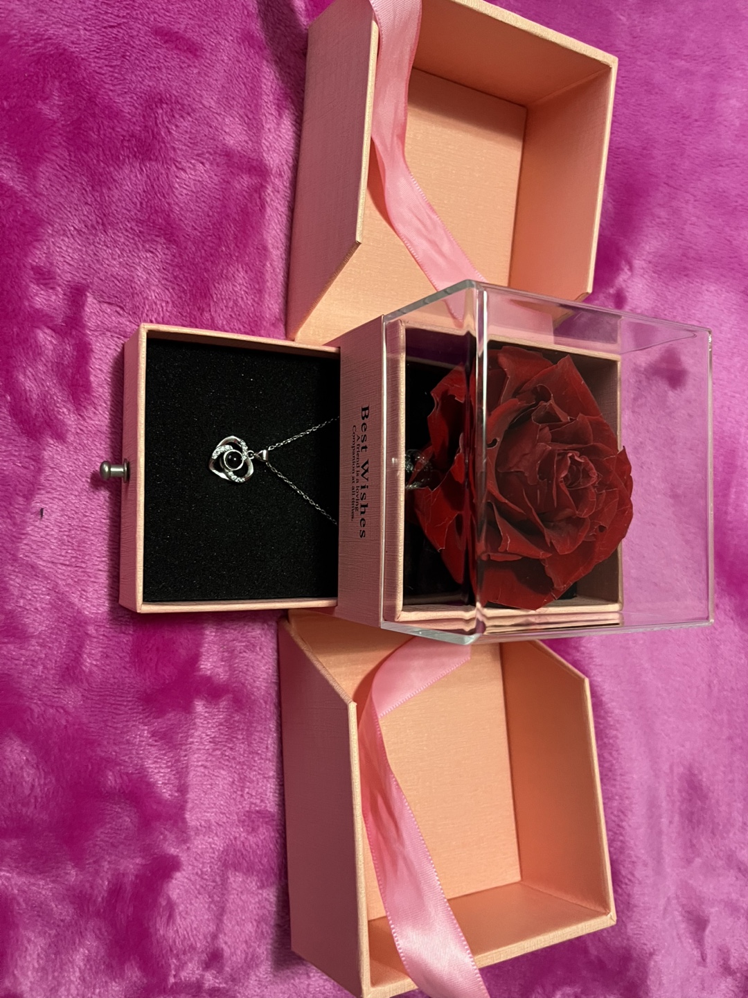 Preserved Rose & Necklace Gift Set