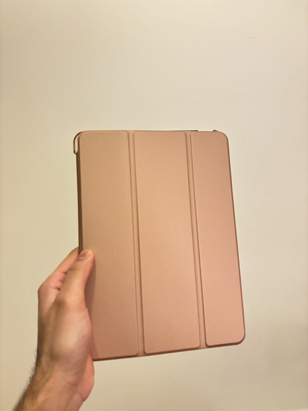 iPad Case - Rose Gold