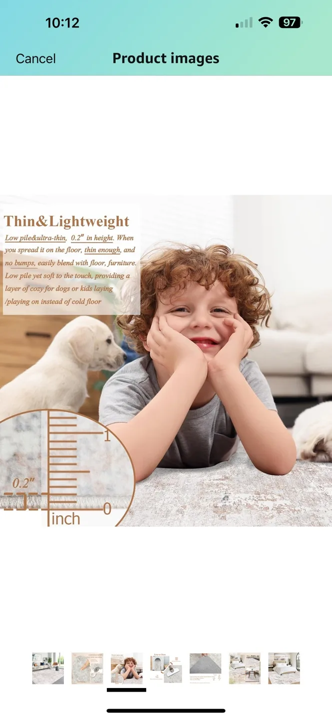 Famibay 8x10 Washable Rug - Modern Area Rug image indicator(5)