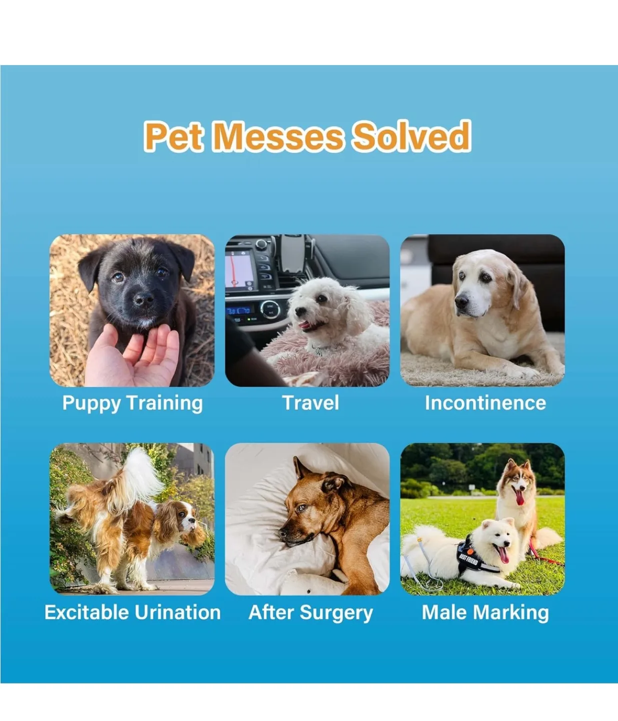 New Pack All-Absorb Disposable Male Wraps for Dogs Large image indicator(4)