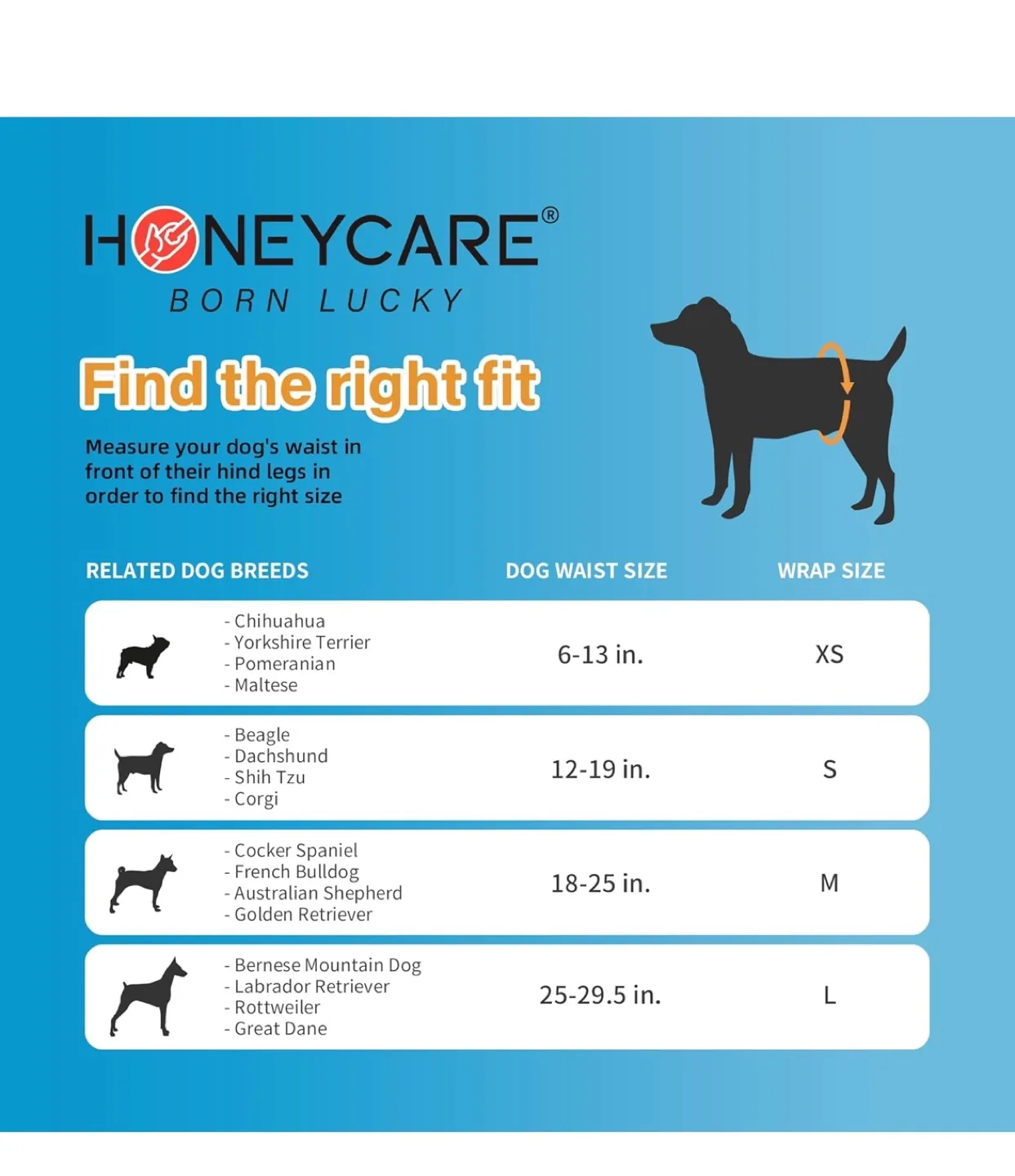 New Pack All-Absorb Disposable Male Wraps for Dogs Large image indicator(2)