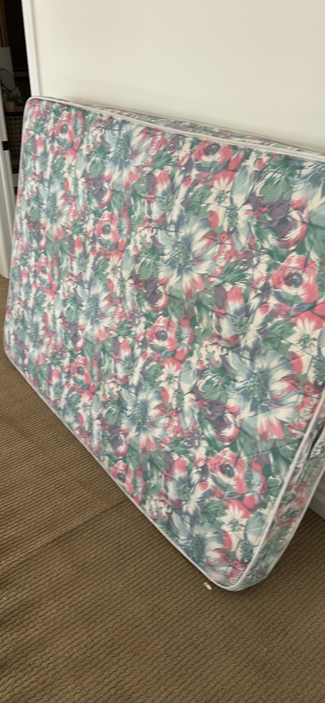 Twin Mattress - Floral Print & Box Spring