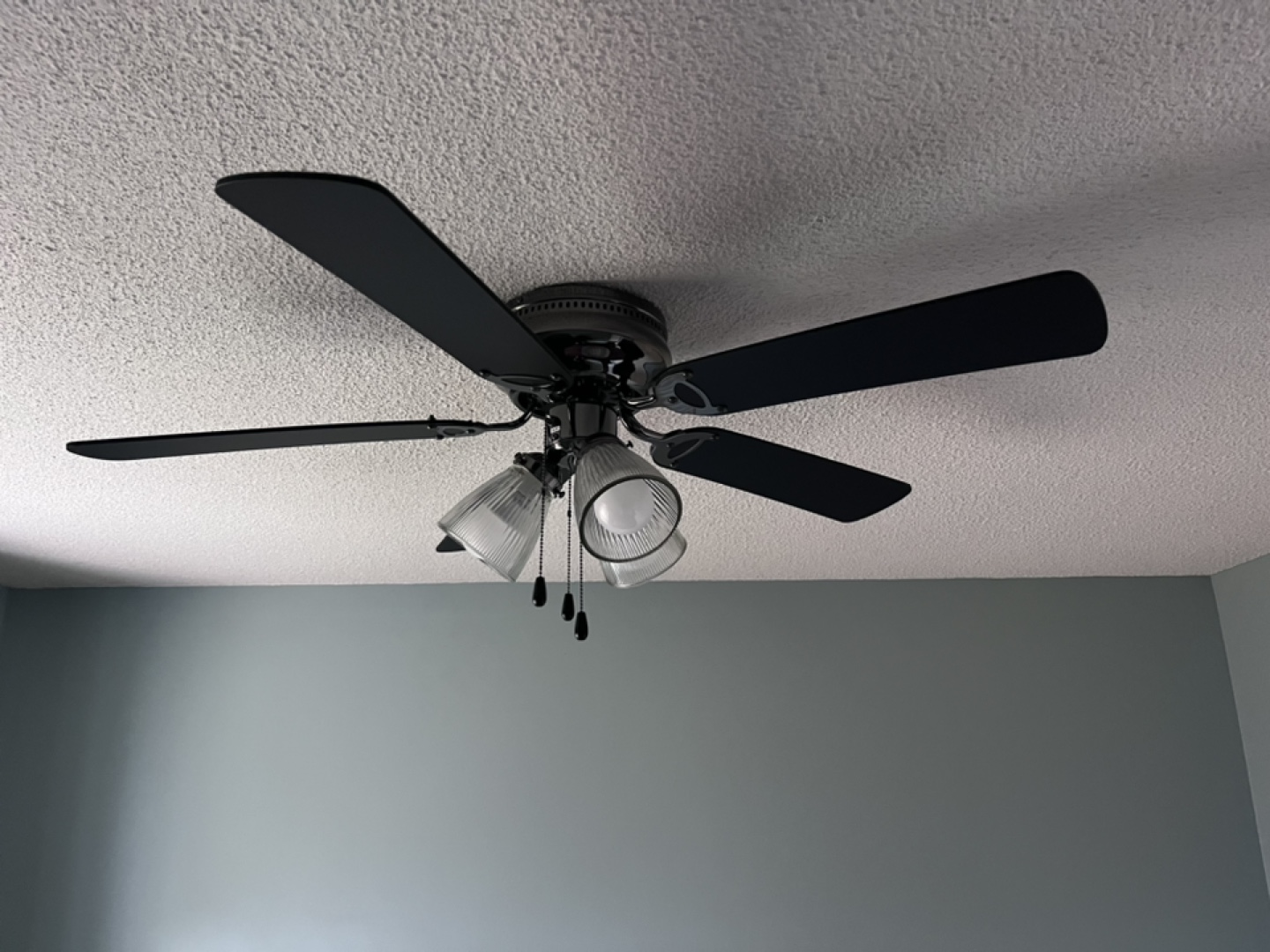 Black Ceiling Fan with Lights