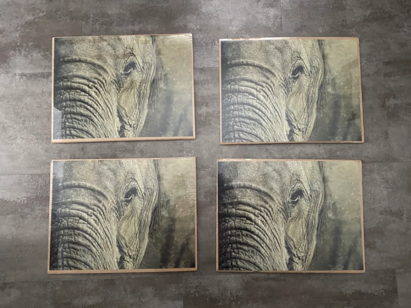 NEW!! 4 IKEA  Elephant Prints! image indicator(2)