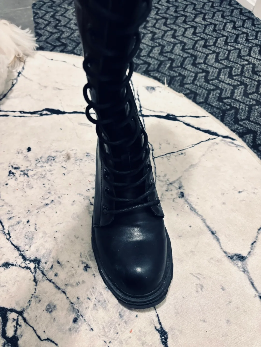 Black Lace-Up Boots & White Bar Stool & Pet Feeder image indicator(3)