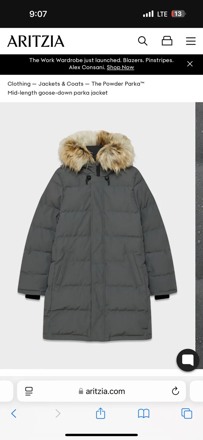 Aritzia The Powder Parka - Mid-Length Goose Down Jacket image indicator(5)