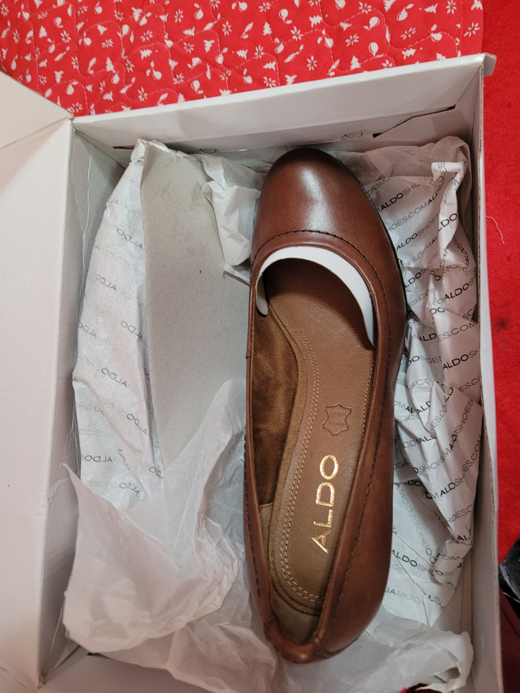 ALDO Women's Brown Leather Block Heel Pumps
