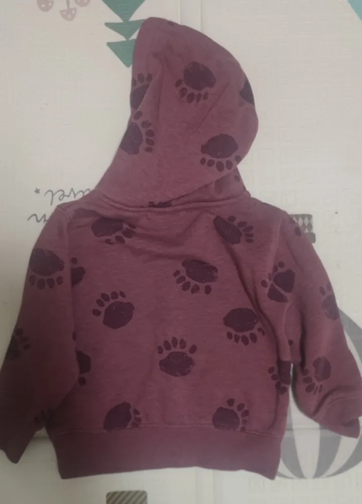 Kids hoodie Size 18M image indicator(2)