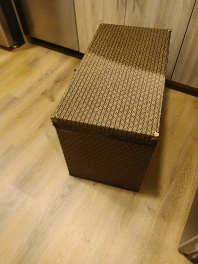 Vintage Decorative Storage Trunk - photo 4