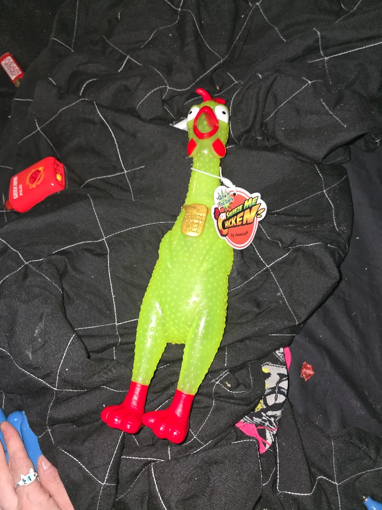 Animolds Squeeze Me Chicken Glow in the Dark Toy image indicator(3)