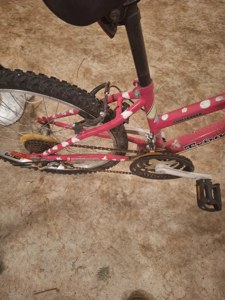 Girls'  Challenger Bike image indicator(2)