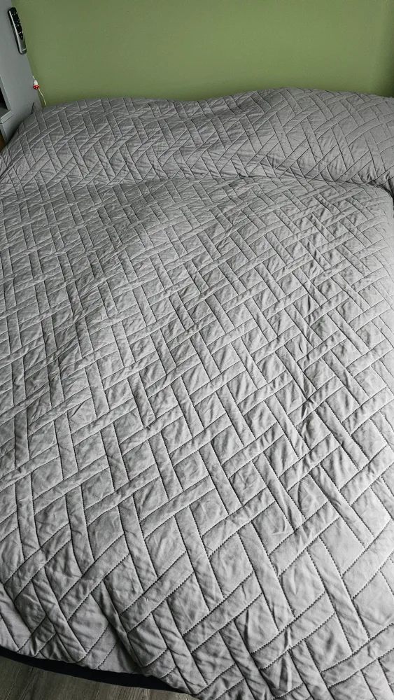 Queen bed cover / duvet cover #freecycle thumbnail