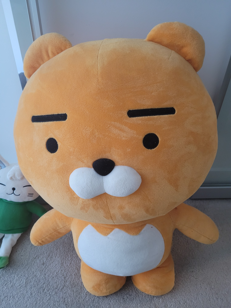 Large Ryan Plush Toy