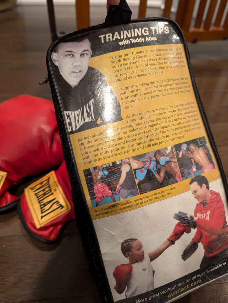 🏈 Everlast Youth Boxing Gloves - Size 9 image indicator(4)