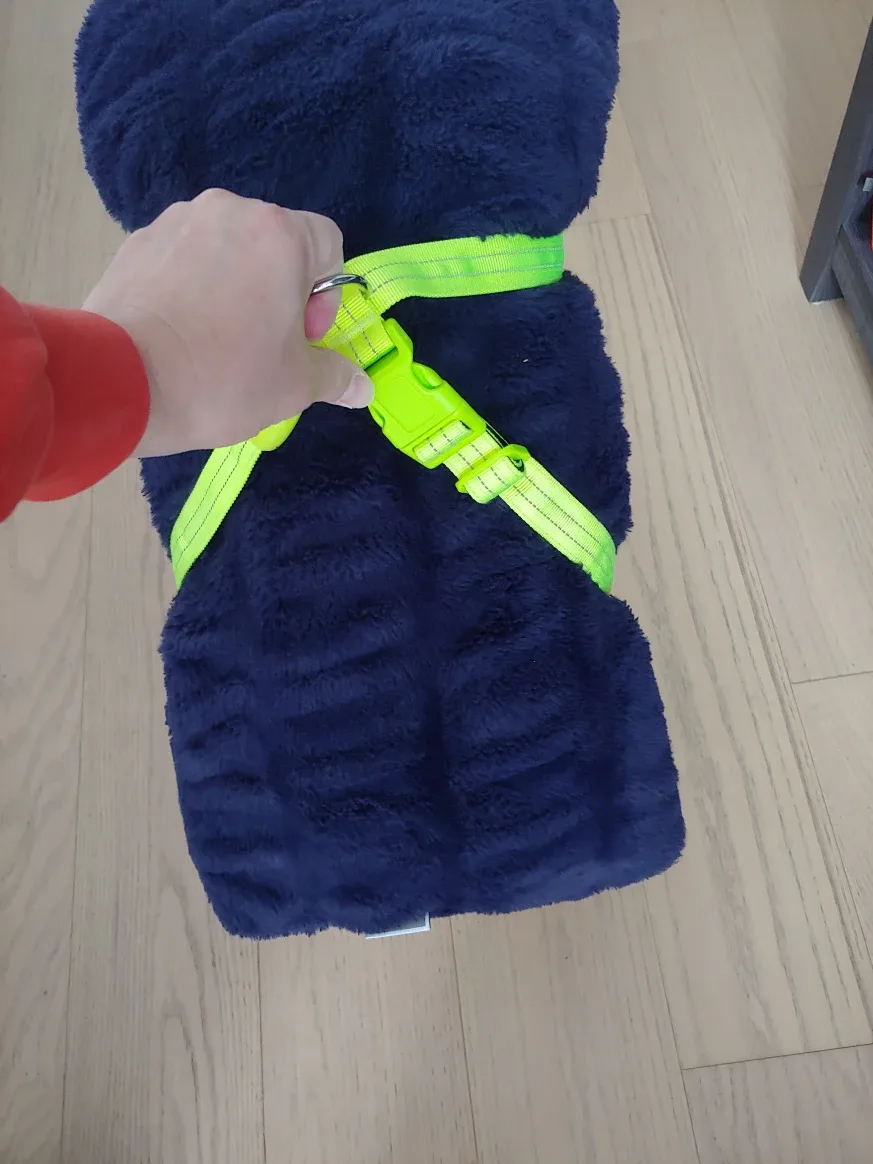 Dog Harness, New, Rechargeable LED, Lime Green, Size=L image indicator(7)