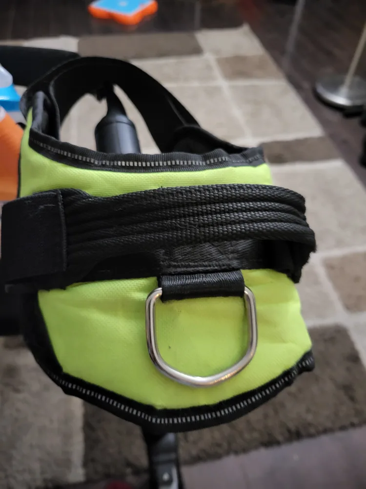 Dog Training & Walking Bundle image indicator(2)