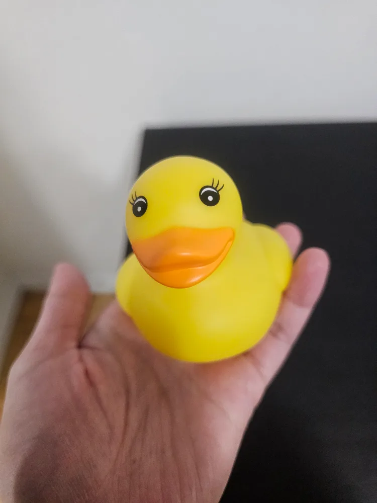 Dreambaby Duck Baby Bath Thermometer image indicator(3)