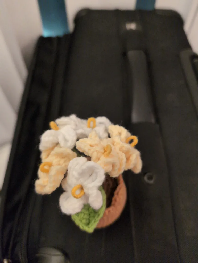 Adorable Crochet Flower Pot -brand new image indicator(2)