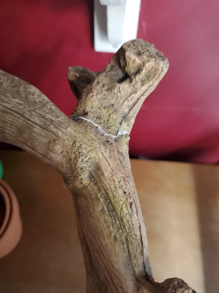 Reptile Terrarium Decorations - Set of 5 image indicator(2)