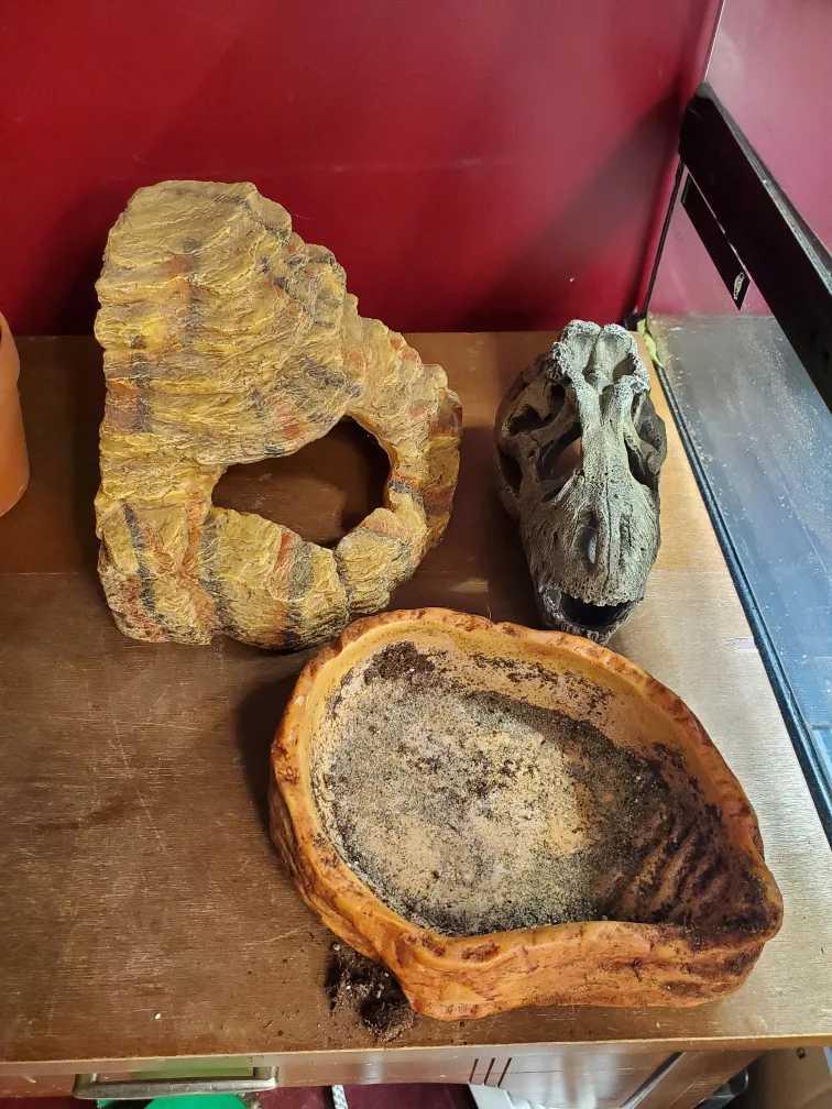 Reptile Terrarium Decorations - Set of 5 image indicator(4)