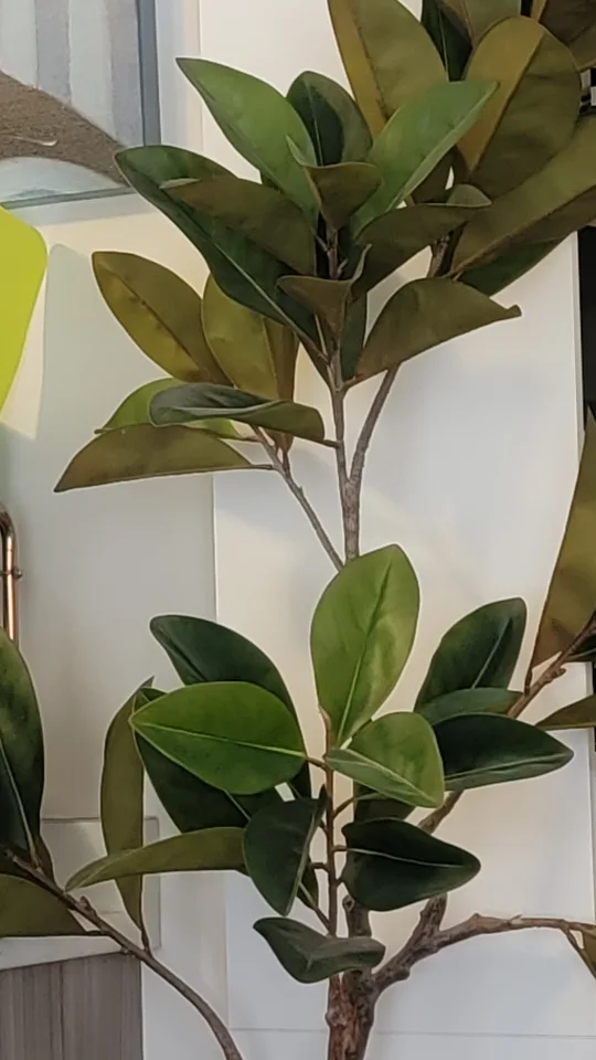 6ft Large Artificial Magnolia Tree image indicator(4)