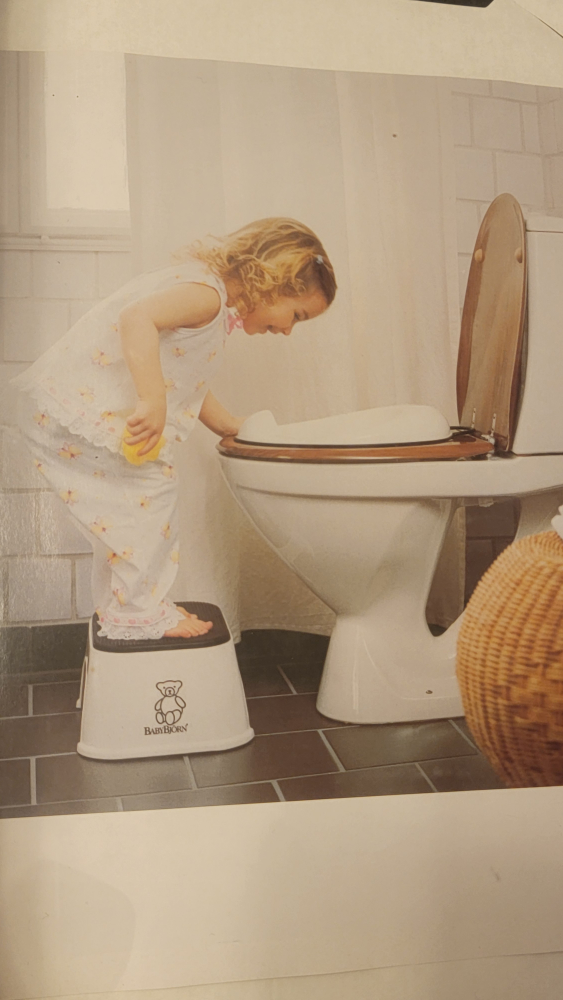 BabyBjorn Toilet Trainer