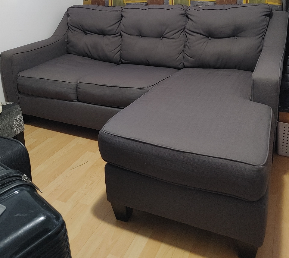 Sectional couch with pull-out bed