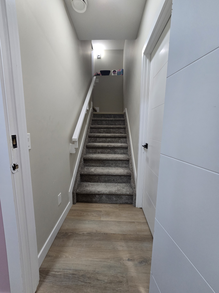 Basement for Rent