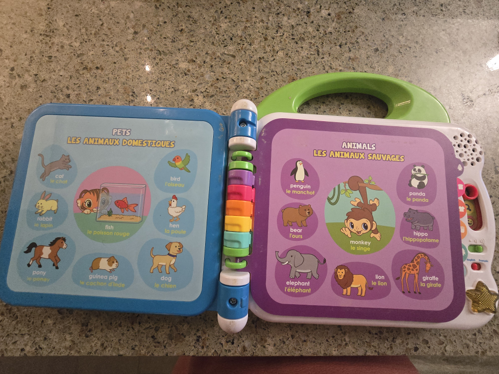 LeapFrog 100 Words Book Bilingual Learning Toy - photo 2