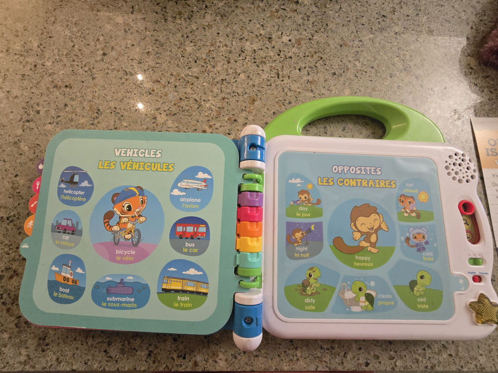 LeapFrog 100 Words Book Bilingual Learning Toy - photo 4